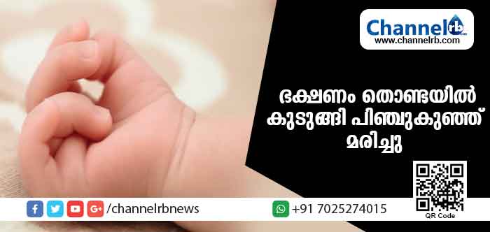 Read more about the article അമ്മ ആഹാരം നല്‍കുന്നതിനിടെ ശ്വാസതടസമുണ്ടായി ഒന്‍പത് മാസം പ്രായമുളള പിഞ്ചുകുഞ്ഞ് മരിച്ചു