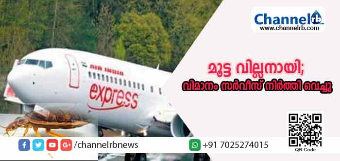 You are currently viewing വില്ലനായത് മൂട്ട; അമേരിക്കയ്ക്ക് പോകേണ്ട എയര്‍ ഇന്ത്യ വിമാനം സര്‍വീസ് നിര്‍ത്തി വെച്ചു