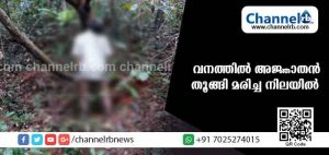Read more about the article ആദൂരിലെ വനത്തില്‍ അജ്ഞാതനെ തൂങ്ങിമരിച്ച നിലയില്‍ കണ്ടെത്തി