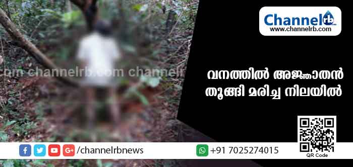 You are currently viewing ആദൂരിലെ വനത്തില്‍ അജ്ഞാതനെ തൂങ്ങിമരിച്ച നിലയില്‍ കണ്ടെത്തി