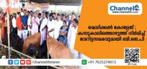Read more about the article നിര്‍ദ്ദിഷ്ട കാസര്‍കോട് മെഡിക്കല്‍ കോളേജ് നിര്‍മാണം സ്തംഭനത്തില്‍; കന്നുകാലികളുമായെത്തി കാലി തൊഴുത്ത് നിര്‍മ്മിച്ച് വേറിട്ടൊരുസമരവുമായി ബി.ജെ.പി