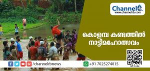 Read more about the article കാര്‍ഷിക കൂട്ടായ്മയുടെ കരുത്തില്‍ കൊളമ്പ കണ്ടത്തില്‍ നാട്ടി മഹോത്സവം സംഘടിപ്പിച്ചു; കായിക വിനോദങ്ങളും ഒരുക്കി