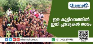 Read more about the article കുണ്ടംകുഴിയുടെ കുട്ടിവനത്തില്‍ ഇനി പ്ലാവുകള്‍ താരം