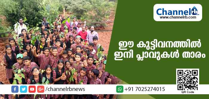 You are currently viewing കുണ്ടംകുഴിയുടെ കുട്ടിവനത്തില്‍ ഇനി പ്ലാവുകള്‍ താരം