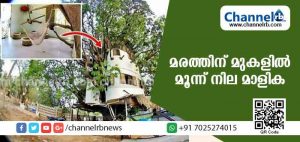 Read more about the article 87 വയസുള്ള മരമുത്തശിയുടെ മുകളില്‍ മുന്നു നിലമാളിക; ശക്തമായ കാറ്റ് വീശിയടിച്ചിട്ടും വീടിന് ഒരു കേടുപാടുമില്ല