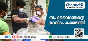 Read more about the article 17 പേരുടെ മരണത്തിനിടയാക്കിയ കോഴിക്കോട്ടെ നിപാവൈറസിൻ്റെ ഉറവിടം കണ്ടെത്തി; കാരണം പഴംതീനി വവ്വാലുകള്‍ തന്നെയെന്ന് സ്ഥിരീകരണം; അതേസമയം പരിശോധന ഫലം സംബന്ധിച്ച് ഔദ്യോഗിക അറിയിപ്പ് ലഭിച്ചിട്ടില്ലെന്ന് ജില്ലാ മെഡിക്കല്‍ ഓഫീസര്‍