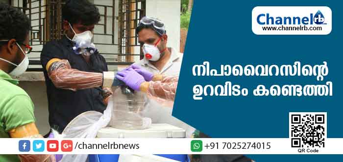 You are currently viewing 17 പേരുടെ മരണത്തിനിടയാക്കിയ കോഴിക്കോട്ടെ നിപാവൈറസിൻ്റെ ഉറവിടം കണ്ടെത്തി; കാരണം പഴംതീനി വവ്വാലുകള്‍ തന്നെയെന്ന് സ്ഥിരീകരണം; അതേസമയം പരിശോധന ഫലം സംബന്ധിച്ച് ഔദ്യോഗിക അറിയിപ്പ് ലഭിച്ചിട്ടില്ലെന്ന് ജില്ലാ മെഡിക്കല്‍ ഓഫീസര്‍