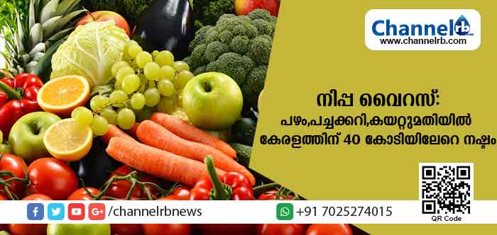 You are currently viewing നിപ്പ വൈറസ്; പഴം,പച്ചക്കറി,കയറ്റുമതിയില്‍ കേരളത്തിന് 40 കോടിയിലേറെ നഷ്ടം