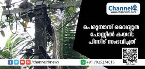 Read more about the article ഇരയെ പിടികൂടാന്‍ എത്തിയ പെരുമ്പാമ്പ് വൈദ്യുത പോസ്റ്റില്‍ കയറി; പിന്നീട് സംഭവിച്ചത്