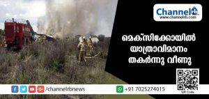 Read more about the article മെക്‌സിക്കോയില്‍ യാത്രാവിമാനം തകര്‍ന്നു വീണു; എണ്‍പതോളം യാത്രക്കാരാണ് സംഭവ സമയത്ത് വിമാനത്തിലുണ്ടായിരുന്നത്