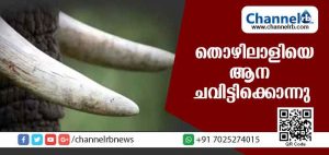 Read more about the article ഇതര സംസ്ഥാന തൊഴിലാളിയെ ആന ചവിട്ടിക്കൊന്നു