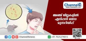 Read more about the article അഞ്ച് ജില്ലകളില്‍ എലിപ്പനി ബാധ മുന്നറിയിപ്പ്