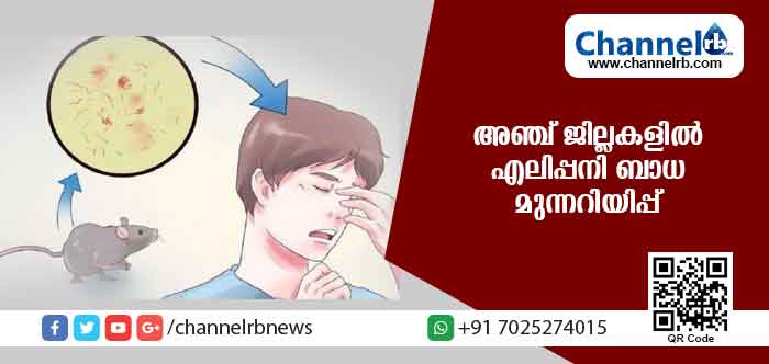 You are currently viewing അഞ്ച് ജില്ലകളില്‍ എലിപ്പനി ബാധ മുന്നറിയിപ്പ്