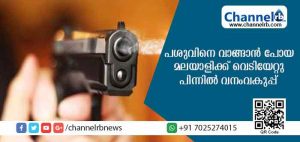 Read more about the article പശുവിനെ വാങ്ങാന്‍ പോയ മലയാളിക്ക് വെടിയേറ്റു: ആക്രമണം നടത്തിയത് വനംവകുപ്പ് ഉദ്യോഗസ്ഥര്‍
