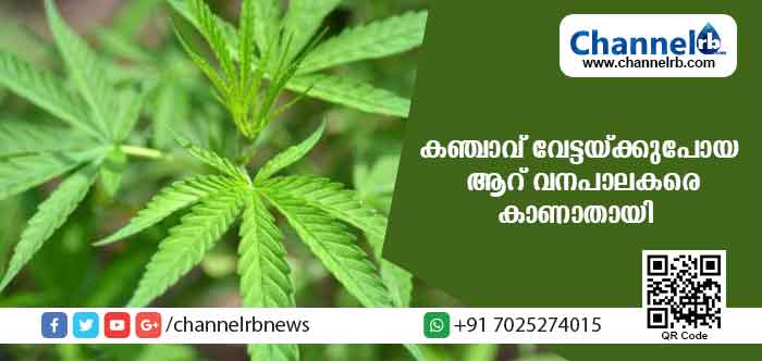 You are currently viewing അട്ടപ്പാടിയില്‍ കഞ്ചാവ് വേട്ടയ്ക്കുപോയ ആറ് വനപാലകരെ കാണാതായി