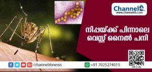 Read more about the article കോഴിക്കോട് നിപ്പ പനിക്ക് പിന്നാലെ ഗുരുതരമായ വെസ്റ്റ് നൈല്‍ പനി സ്ഥിരീകരിച്ചു