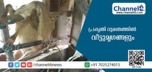 Read more about the article മഴക്കെടുതി റിപോര്‍ട്ട് ലൈവ് ചെയ്യാന്‍ മാധ്യമങ്ങള്‍ മല്‍സരിക്കുന്നു; പ്രകൃതിദുരന്തത്തില്‍ മരണപ്പെട്ടവരില്‍ 200 ഓളം വീട്ടുമൃഗങ്ങളും ഉള്‍പെടും; ഈ മിണ്ടാപ്രാണികളുടെ ദുരിതം ആരറിയും; വയനാട്ടിലെ ഒരു മൃഗഡോക്ടറുടെ വിലാപം സോഷ്യല്‍ മീഡിയയില്‍ വൈറലാകുന്നു