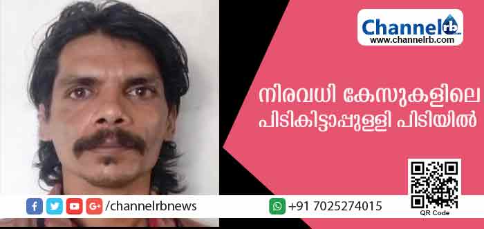 You are currently viewing മൂന്നുദിവസം നിരീക്ഷണം നടത്തി; കൊലപാതകശ്രമം ഉള്‍പ്പടെ നിരവധി കേസിലെ പിടികിട്ടാപ്പുള്ളിയെ വളപട്ടണം പോലീസ് പിടികൂടിയത് നാടകീയമായി