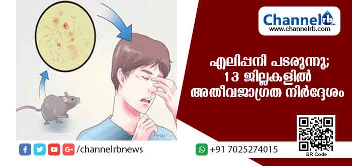 You are currently viewing എലിപ്പനി പടരുന്നു; സംസ്ഥാനത്ത് 22 മരണം,13 ജില്ലകളില്‍ അതീവജാഗ്രത നിര്‍ദ്ദേശം