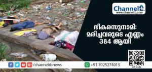 Read more about the article ഇന്തോനേഷ്യയില്‍ ഭീകരസുനാമി: മരിച്ചവരുടെ എണ്ണം 384 ആയി