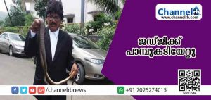 Read more about the article കോടതിക്കുള്ളില്‍ പാമ്പെത്തി; കടികിട്ടിയത് ജഡ്ജിക്ക്