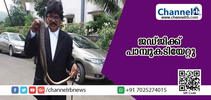 You are currently viewing കോടതിക്കുള്ളില്‍ പാമ്പെത്തി; കടികിട്ടിയത് ജഡ്ജിക്ക്
