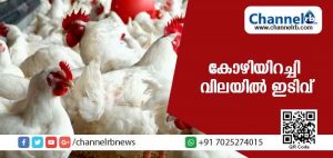 Read more about the article സംസ്ഥാനത്ത് കോഴിയിറച്ചി വില കുത്തനെ ഇടിഞ്ഞു ; ഇതാണ് ഈ വര്‍ഷത്തെ ഏറ്റവും താഴ്ന്ന നിരക്ക്