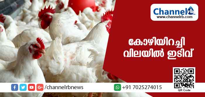 You are currently viewing സംസ്ഥാനത്ത് കോഴിയിറച്ചി വില കുത്തനെ ഇടിഞ്ഞു ; ഇതാണ് ഈ വര്‍ഷത്തെ ഏറ്റവും താഴ്ന്ന നിരക്ക്