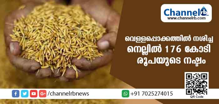 Read more about the article കര്‍ഷകരില്‍ നിന്ന് സംഭരിച്ച നെല്ല് വെള്ളപ്പൊക്കത്തില്‍ നശിച്ചു; 176 കോടി രൂപയുടെ നഷ്ടം