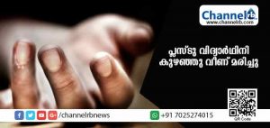 Read more about the article പ്ലസ് ടു വിദ്യാര്‍ഥിനി കുഴഞ്ഞു വീണ് മരിച്ചു