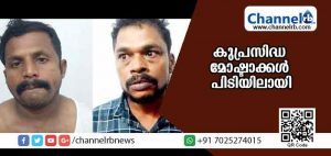 Read more about the article വാഹന പരിശോധനക്കിടേ കുപ്രസിദ്ധ മോഷ്ടാക്കള്‍ പിടിയിലായി