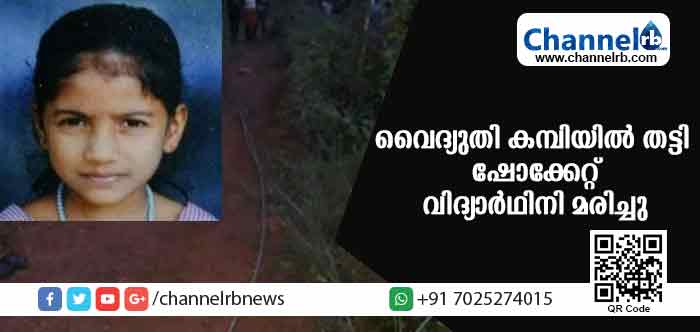 You are currently viewing പൊട്ടിവീണ വൈദ്യുതി കമ്പിയില്‍ തട്ടി മാതാവിനും മകള്‍ക്കും ഷോക്കേറ്റു; മകള്‍ മരണപ്പെട്ടു