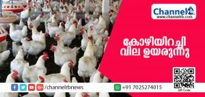 Read more about the article സംസ്ഥാനത്ത് കോഴിയിറച്ചി വില ഉയരുന്നു; തിരുവനന്തപുരത്ത് വില 205 രൂപ