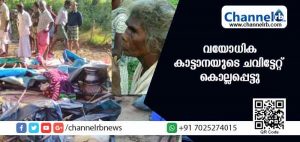 Read more about the article കണ്ണൂരില്‍ ആദിവാസി വയോധിക കാട്ടാനയുടെ ചവിട്ടേറ്റ് കൊല്ലപ്പെട്ടു; കൊച്ചുമകള്‍ക്ക് പരിക്ക്