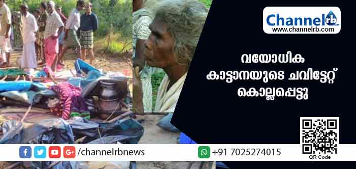 You are currently viewing കണ്ണൂരില്‍ ആദിവാസി വയോധിക കാട്ടാനയുടെ ചവിട്ടേറ്റ് കൊല്ലപ്പെട്ടു; കൊച്ചുമകള്‍ക്ക് പരിക്ക്