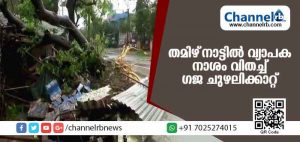 Read more about the article തമിഴ്നാട്ടില്‍ വ്യാപക നാശം വിതച്ച് ഗജ ചുഴലിക്കാറ്റ്; നാല് മരണം; കേരളത്തിലും ശക്തമായ മഴയ്ക്ക് സാദ്ധ്യത