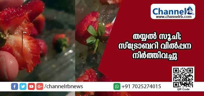 You are currently viewing സൂപ്പര്‍ മാര്‍ക്കറ്റുകളില്‍ വിറ്റഴിക്കപ്പെട്ട പഴങ്ങളില്‍ തയ്യല്‍ സൂചി; സ്‌ട്രോബറി വില്‍പ്പന നിര്‍ത്തിവച്ചു