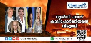 Read more about the article ‘വൂള്‍സി ഫയര്‍’ എന്ന് പേരിട്ടിരിക്കുന്ന കാട്ടുതീയില്‍ 6700 കെട്ടിടങ്ങള്‍ അഗ്‌നിക്കിരയായി; നിരവധിപേര്‍ മരിച്ചു, മാറ്റിപാര്‍പ്പിച്ചത് രണ്ട് ലക്ഷത്തിലധികം ആളുകളെ, രക്ഷാപ്രവര്‍ത്തനം തുടരുന്നു; അമേരിക്കയില്‍ നടക്കുന്നത്