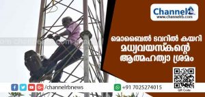 Read more about the article സ്ഥലസംബന്ധമായ പരാതി തീര്‍ക്കാന്‍ സര്‍ക്കാര്‍ ഓഫിസ് കയറി മടുത്തു; മണിക്കൂറോളം ജനങ്ങളെയും പോലിസിനെയും മുള്‍മുനയില്‍ നിര്‍ത്തി മൊബൈല്‍ ടവറില്‍ കയറി മധ്യവയസ്‌കൻ്റെ ആത്മഹത്യാ ശ്രമം