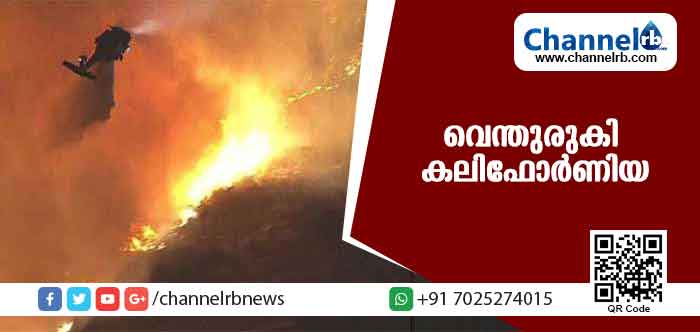 You are currently viewing വെന്തുരുകി കലിഫോര്‍ണിയ: ഒമ്പതു മരണം; രണ്ടരലക്ഷം പേരെ മാറ്റിപ്പാര്‍പ്പിച്ചു