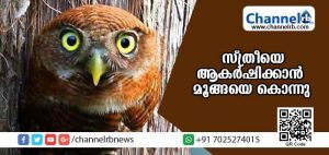 Read more about the article ജ്യോല്‍സ്യന്‍ ഉപദേശിച്ചു; ഇഷ്ടപ്പെട്ട സ്ത്രീയെ ആകര്‍ഷിക്കാന്‍ മൂങ്ങയെ കൊലപ്പെടുത്തിയ നാല്‍പതുകാരന്‍ പിടിയില്‍