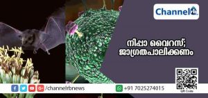 Read more about the article പച്ചക്കറികളും പഴ വര്‍ഗങ്ങളും കഴിക്കുമ്പോള്‍ ശ്രദ്ധിക്കുക! നിപ്പാ വൈറസ് വരുന്നു; കനത്ത ജാഗ്രത നിര്‍ദേശവുമായി സര്‍ക്കാര്‍