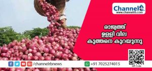 Read more about the article ഉള്ളിക്ക് കിലോവിന് ഒരു രൂപ; കര്‍ഷകര്‍ പ്രതിസന്ധിയില്‍