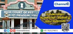 Read more about the article സുപ്രീംകോടതി ഉത്തരവ് നടപ്പാക്കുന്നതില്‍ സര്‍ക്കാരിന് ഇരട്ടത്താപ്പ്; ശബരിമലയില്‍ ഉത്തരവ് നടപ്പാക്കാന്‍ ആയിരക്കണക്കിന് പൊലിസിനെ സര്‍ക്കാര്‍ വിന്യസിക്കുമ്പോള്‍ എന്തുകൊണ്ട് പിറവത്ത് 200 പേര്‍ക്ക് സംരക്ഷണം നല്‍കാന്‍ മടി? സര്‍ക്കാരിനെ രൂക്ഷമായി വിമര്‍ശിച്ച് ഹൈക്കോടതി