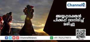 Read more about the article കാല്‍നടയാത്രയായി ശബരിമല ദര്‍ശനത്തിന് പോകുകയായിരുന്ന അയ്യപ്പഭക്തന്‍ പിക്കപ്പ് വാനിടിച്ച് മരിച്ചു