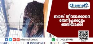 Read more about the article ബാങ്ക് ജീവനക്കാരെയും ഇടപാടുകാരെയും മണിക്കൂറോളം അവര്‍ ബന്ദിയാക്കി; കാക്കയങ്ങാട് നടന്ന സംഭവം ഇങ്ങനെയാണ്