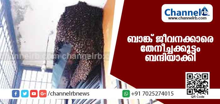 You are currently viewing ബാങ്ക് ജീവനക്കാരെയും ഇടപാടുകാരെയും മണിക്കൂറോളം അവര്‍ ബന്ദിയാക്കി; കാക്കയങ്ങാട് നടന്ന സംഭവം ഇങ്ങനെയാണ്