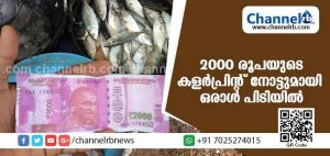 Read more about the article വീണ്ടും 2000 രൂപയുടെ കളര്‍പ്രിന്റ് നോട്ടുമായി തട്ടിപ്പ്; കാസര്‍കോട്ട് മല്‍സ്യം വാങ്ങാനെത്തിയ ഒരാള്‍ പോലിസ് കസ്റ്റഡിയില്‍