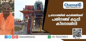 Read more about the article ക്ഷേത്രത്തിലെ ഭക്ഷ്യവിഷബാധ: പ്രസാദത്തില്‍ കലര്‍ത്തിയത് പതിനഞ്ച് കുപ്പി കീടനാശിനിയെന്ന് പൊലിസ്