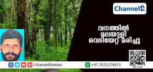Read more about the article നായാട്ടിനായി കര്‍ണാടക വനത്തില്‍ പ്രവേശിച്ച മലയാളി വെടിയേറ്റ് മരിച്ചു: രണ്ടുപേര്‍ കസ്റ്റഡിയില്‍